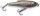 IronClaw DOIYO Apace JB 48 sinking