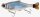 Savage Gear 3D Hard Pulsetail Roach slow sinking13,5cm 40g