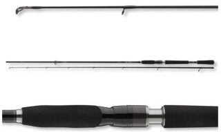 Daiwa ProStaff Zander 2,50m 14-42g