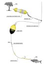 BlackCat Freestyle Rig 0,80mm 1,80m #6/0,#6/0