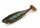 NAYS  PRDTR Predator 5` 12,7cm 5 Stück