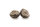 Mivardi Rapid Boilies Starter - 3500g 20mm Fruit Bomb
