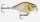 Rapala X-Light  Crank Shallow Runner 3,5cm 4g