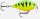 Rapala X-Light  Crank Shallow Runner 3,5cm 4g