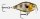 Rapala X-Light  Crank Shallow Runner 3,5cm 4g