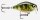 Rapala X-Light  Crank Shallow Runner 3,5cm 4g