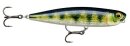 Rapala Precision Xtreme Pencil  87