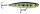Rapala Precision Xtreme Pencil  87