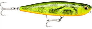 Rapala Precision Xtreme Pencil EXO 107
