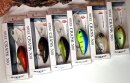 Daiwa Steez Crank Bait 300F-DR 6,1cm 18g