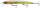 Daiwa HMKL Steez Custom Minnow 13,7cm