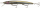 Daiwa HMKL Steez Custom Minnow 13,7cm