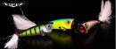 Daiwa Steez Popper 60F