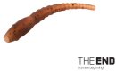 Delphin TheEnd Wormer Aligner