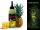 Delphin Snax Liquix 100ml  Mais-Ananas