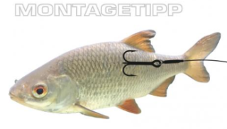 Jenzi Catch A Pike Float Rig Treble Hook 7x7 12kg 60cm