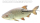 Jenzi Catch A Pike Float Rig Treble Hook 7x7 12kg 60cm