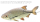 Jenzi Catch A Pike Flexible Treble Hook Float Rig 7x7 12kg 60cm