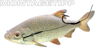 Jenzi Catch A Pike Flexible Single Hook Float Rig 7x7 12kg 60cm
