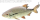 Jenzi Catch A Pike Flexible Single Hook Float Rig 7x7 12kg 60cm