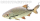 Jenzi Catch A Pike Flexible Double Hook Float Rig 7x7 12kg 60cm