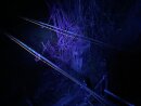 Anaconda VIPEX UV Blacklight Kopflampe