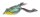 Iron Claw Kaeru 66 Classic