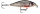 Rapala X-Light  Minnow 5cm 4g