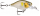 Rapala X-Light  Crank Medium Runner 3,5cm 4g