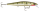 Rapala  Mavrik Custom 11cm 14g