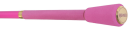 Delphin Queen Stalker Karpfenrute Candy 3,00m 3lbs