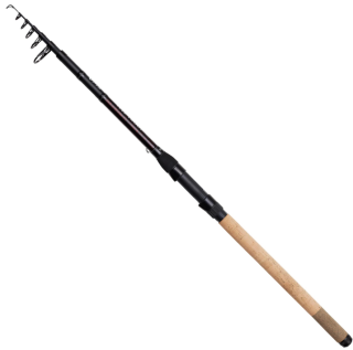 DAM PTS Tele Trout 3,00m 5-20g