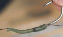 Spro Reload Line Aligner
