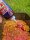 ANACONDA Stick Mix Additive