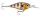 Rapala X-Light Shad 4cm 4g Slow Sinking