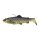 SavageGear 3D Trout Shad FS 12,5cm 35g