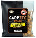 Dynamite Baits Carptec Boilies 20mm 300g