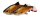 SavageGear 3D LB River Roach 18cm