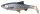 SavageGear 3D LB River Roach 18cm