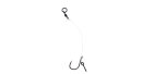 Mikado Territory Chod Rig Long 8cm 20lbs