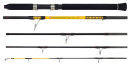 WFT Never Crack Big Fish 2,40m 150-700g