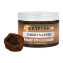 Dynamite Baits Ready to use Paste 500g