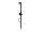 Delphin Waller Rutenhalter Energy