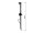 Delphin Waller Rutenhalter Energy