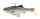 Savage Gear 3D Roach RTF 15cm 60g