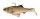 Savage Gear 3D Roach RTF 15cm 60g
