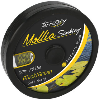 Mikado Territory Karpfen Vorfach 20m 55lbs 25kg