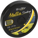 Mikado Territory Karpfen Vorfach 20m 55lbs 25kg