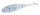 Mikado M-Craft Baby Shad 5cm Anis Scent