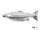 Delphin Edelstahl-Flachmann Fisch 140ml